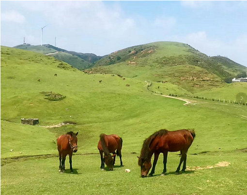 郴州仰天湖大草原風景區成人票（驗碼入園）